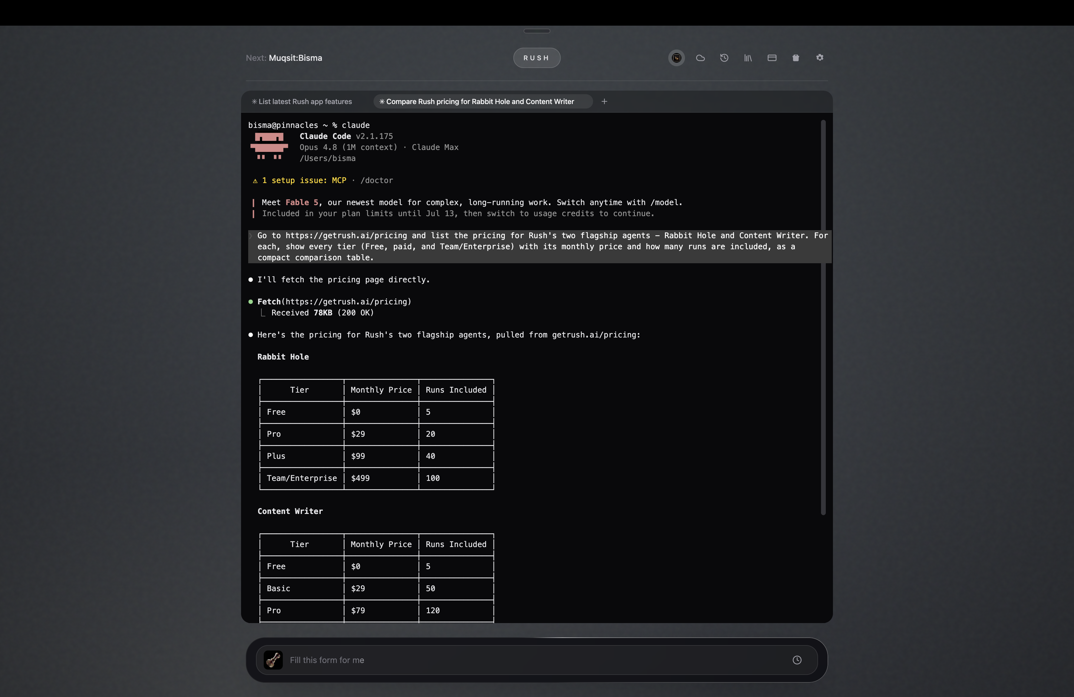 Rush's built-in Terminal running a live shell inside the app